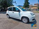 fiat-panda-1-2-lounge-69cv