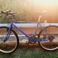 bicicletta mountain bike olmo