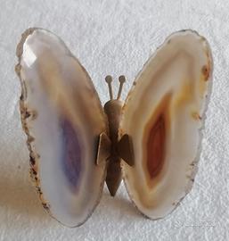 Splendida Farfalla Decorativa con Ali D'Agata 