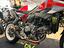 Immagine 11
