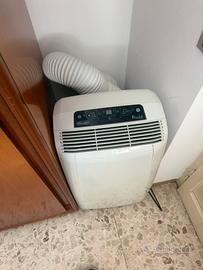 Pinguino de longhi