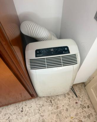 Pinguino de longhi