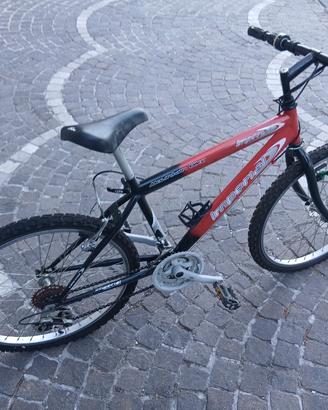 bicicletta unisex 