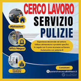 Operatrice Pulizie Professionale