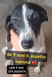 Lalla rimarrà sola di nuovo-compatibile con altri