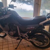 Honda XL 600 V Transalp - 1999