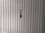 Immagine 20