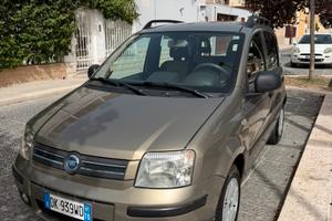 Panda neopatentati perfetta