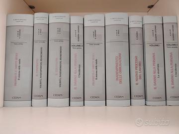 CEDAM DIRITTO APPLICATO