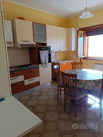 Piano terra Appartamento