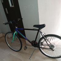 bicicletta