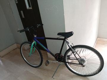 bicicletta