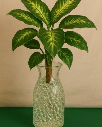 Terrra per piante 4000 palline 