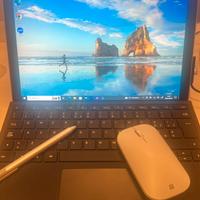 SURFACE PRO 4 WINDOWS