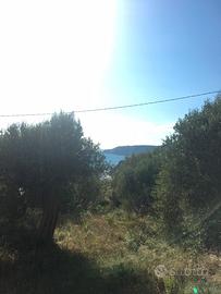 Marina di Pisciotta - Spiaggia Acquabianca