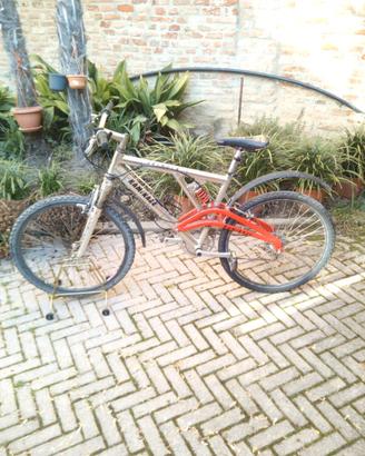 Bici trekking