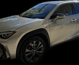 Lexus ux 4wd f-sport - 2020