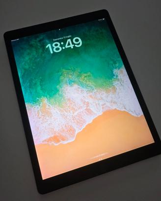 Ipad PRO 2 generazione 12,9 256gb  wifi + cellular