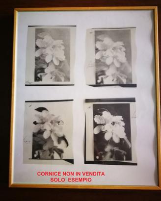 vintage pellicole positive per stampare immagini