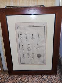 13 Stampe Antiche - Diderot, D’Alembert 1751/1772