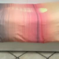 Letto singolo in legno bianco con letto estraibile