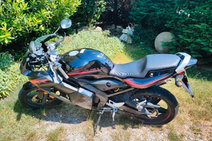 YAMAHA TZR 50