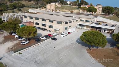 Stabile industriale con terreno