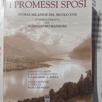 libro "i promessi sposi"