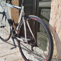 bici da corsa XL