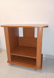 mobile TV