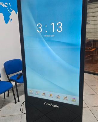 Monitor professionale ViewSonic EP5542  55" 4K