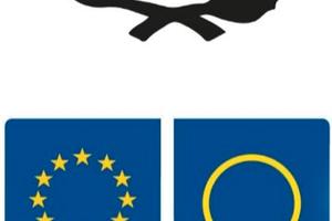 Kit Adesivi per Targa Auto