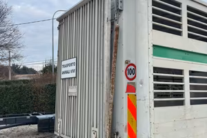 Trasporto animali