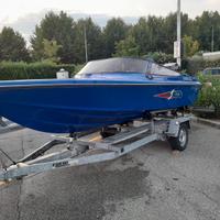 Sea star 17