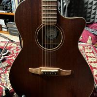 Fender Newporter special