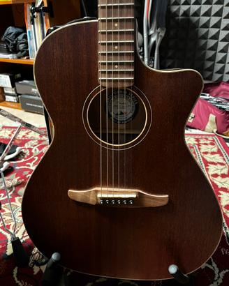 Fender Newporter special