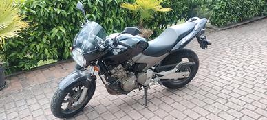 Honda 600 Hornet