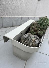 Vaso da terrazzo sospeso e piante Cactus