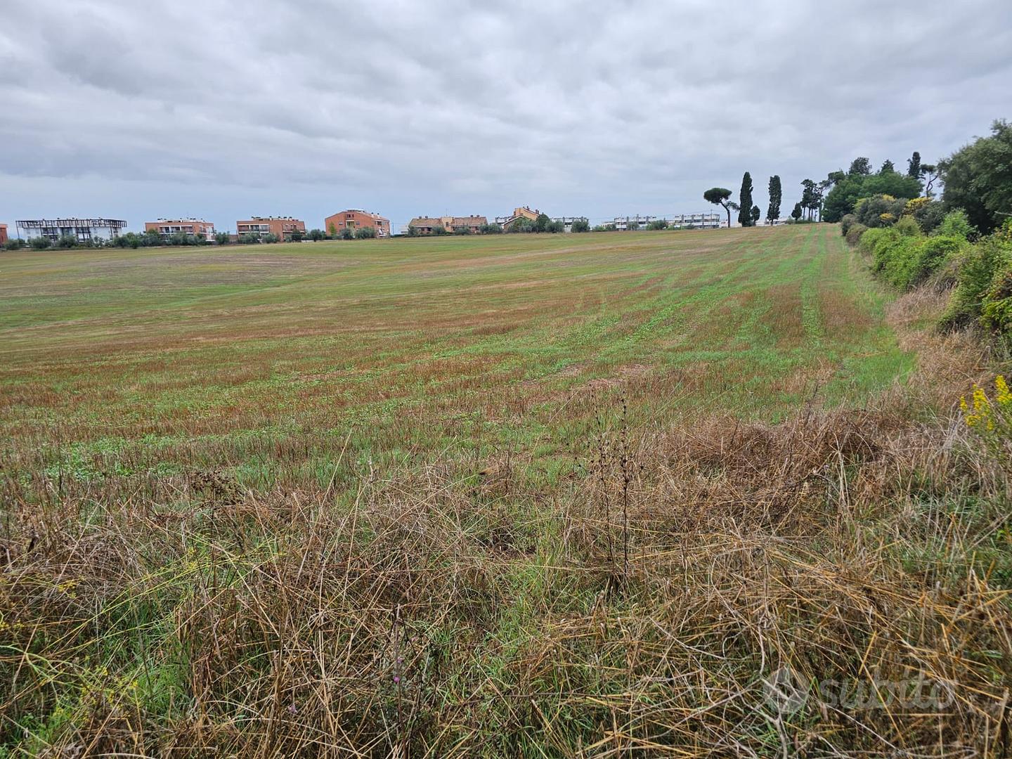 LOTTI DI TERRENO AGRICOLO - Vista 4