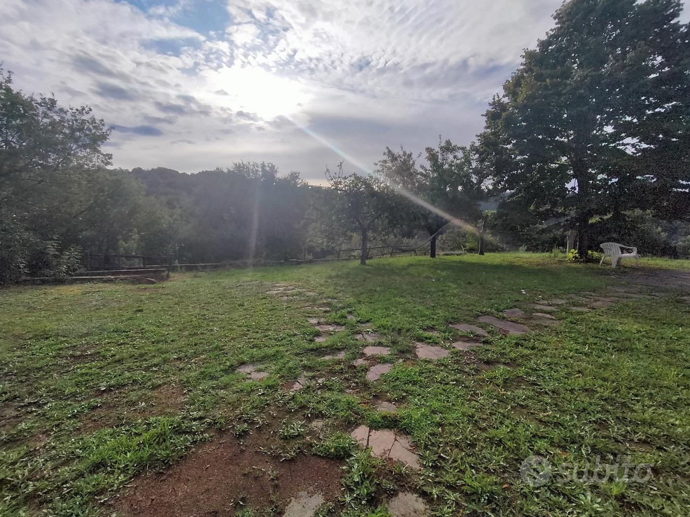 Rustico/Casale/Corte Grosseto - Vista 3