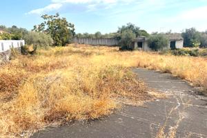 Terreno con progetto