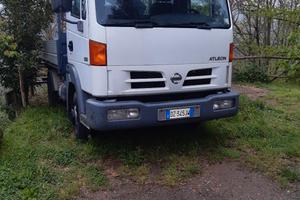 nissan atleon