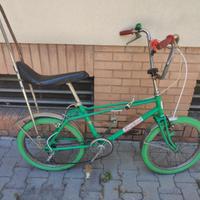 Bici modello saltafossi