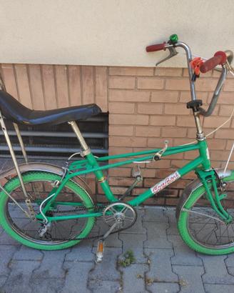 Bici modello saltafossi