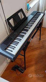 🎹 ECHORD DP1 – Pianoforte Digitale 88 Tasti Pesat