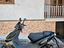 Immagine 2
