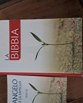 libri bibbia e vangelo