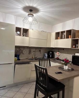 Cucina moderna angolare con penisola