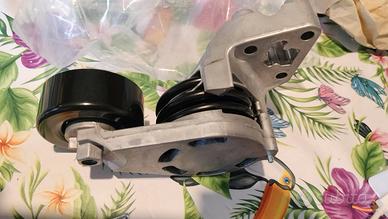 Tendicinghia audi e vw