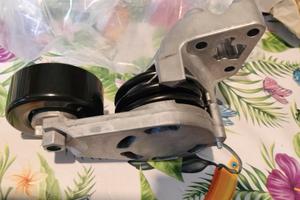 Tendicinghia audi e vw